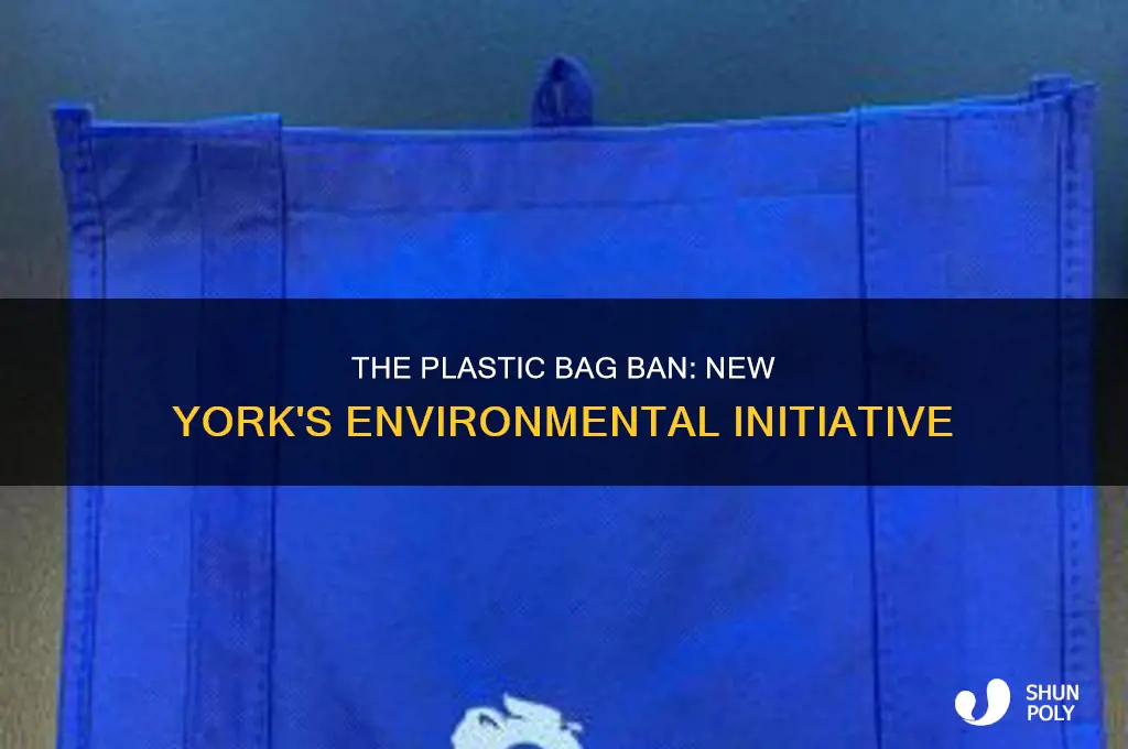 did new york ban plastic bags
