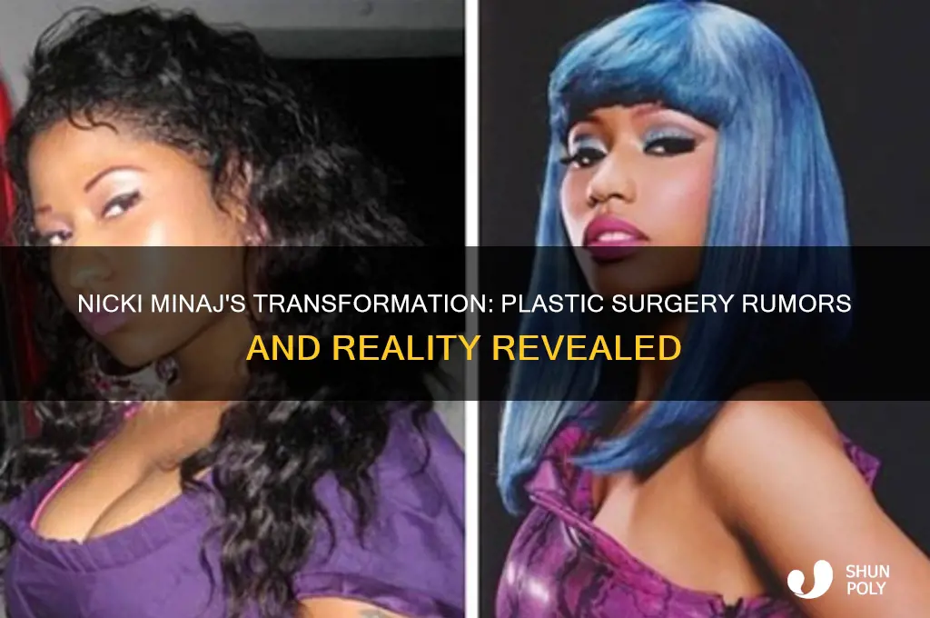did niki minag have plastic surgery