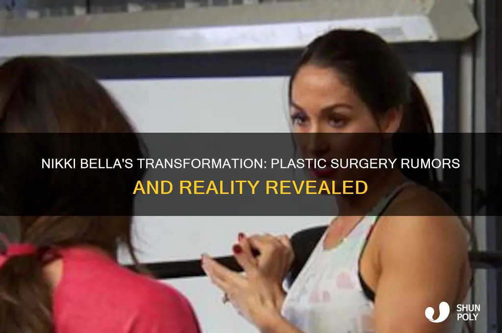did nikki bella get plastic surgery