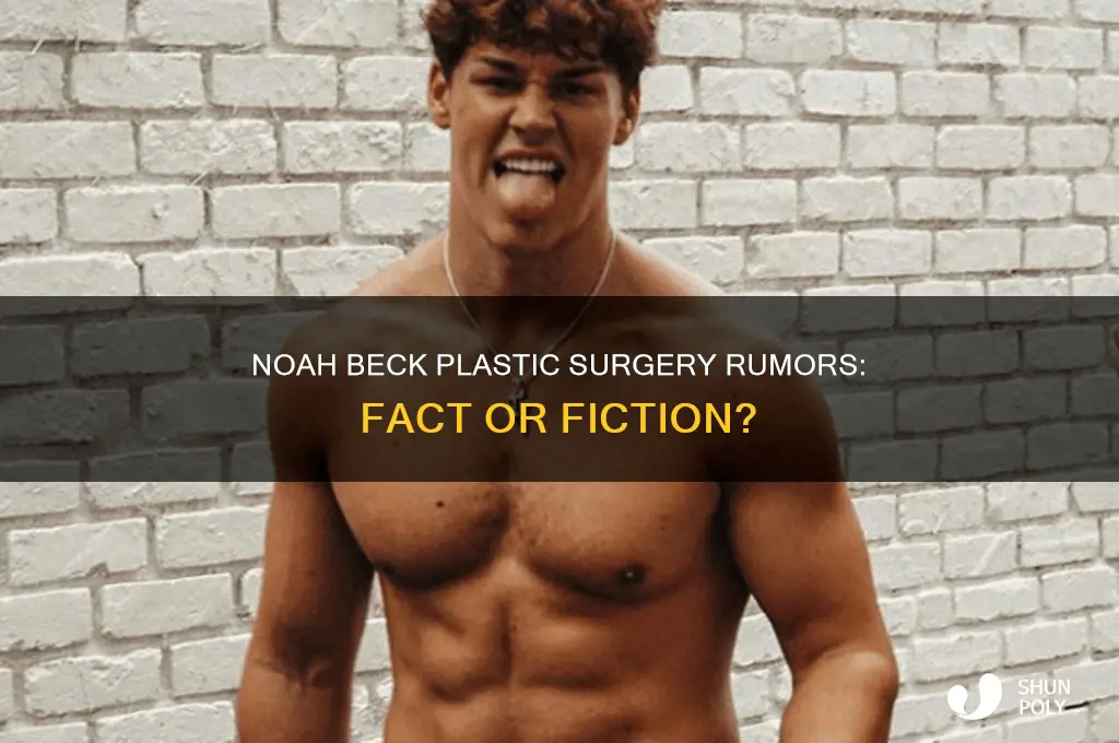 did noah beck get plastic surgery