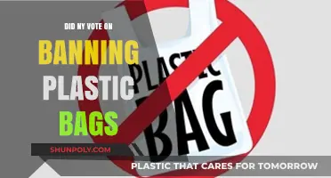 New York's Vote on Plastic Bag Ban