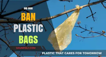 Ohio's Plastic Bag Ban: What You Need to Know
