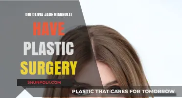 Olivia Jade Giannulli's Transformation: Plastic Surgery Speculations Explored