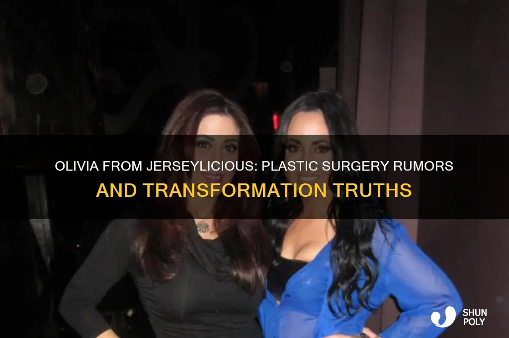 did olivia jerseylicious have plastic surgery