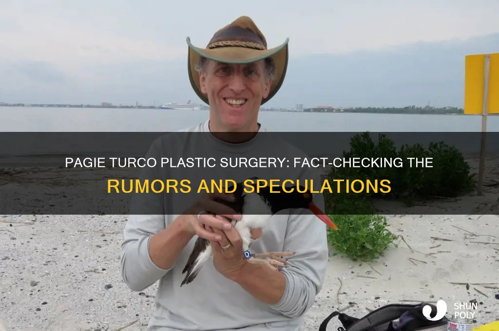 did pagie turco have plastic surgery
