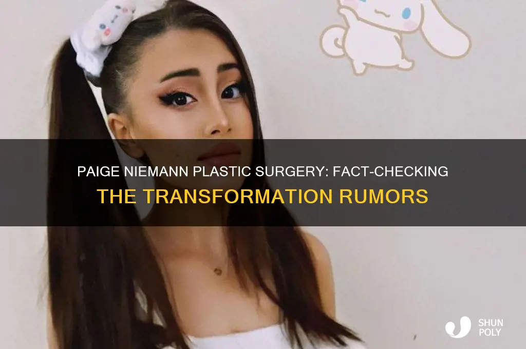 did paige niemann get plastic surgery
