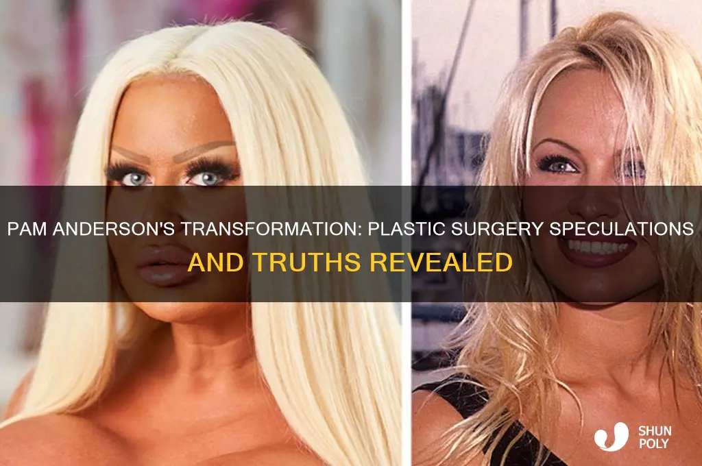 did pam anderson have plastic surgery