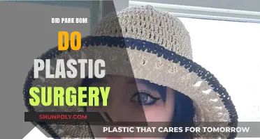 Park Bom's Transformation: Unveiling the Truth About Plastic Surgery