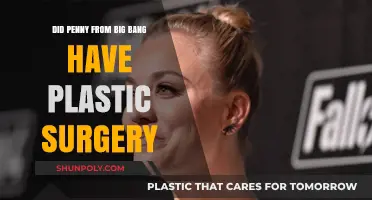 Penny's Transformation: Plastic Surgery Rumors in The Big Bang Theory