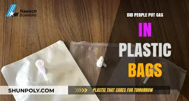 Plastic Bags for Gas: A Historical Perspective