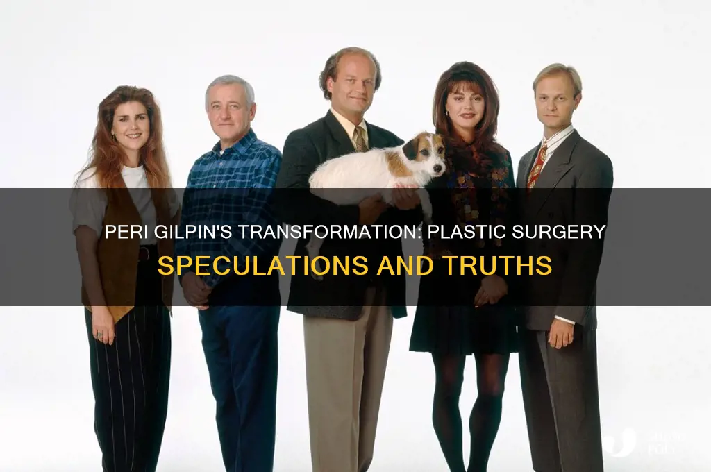 did peri gilpin have plastic surgery