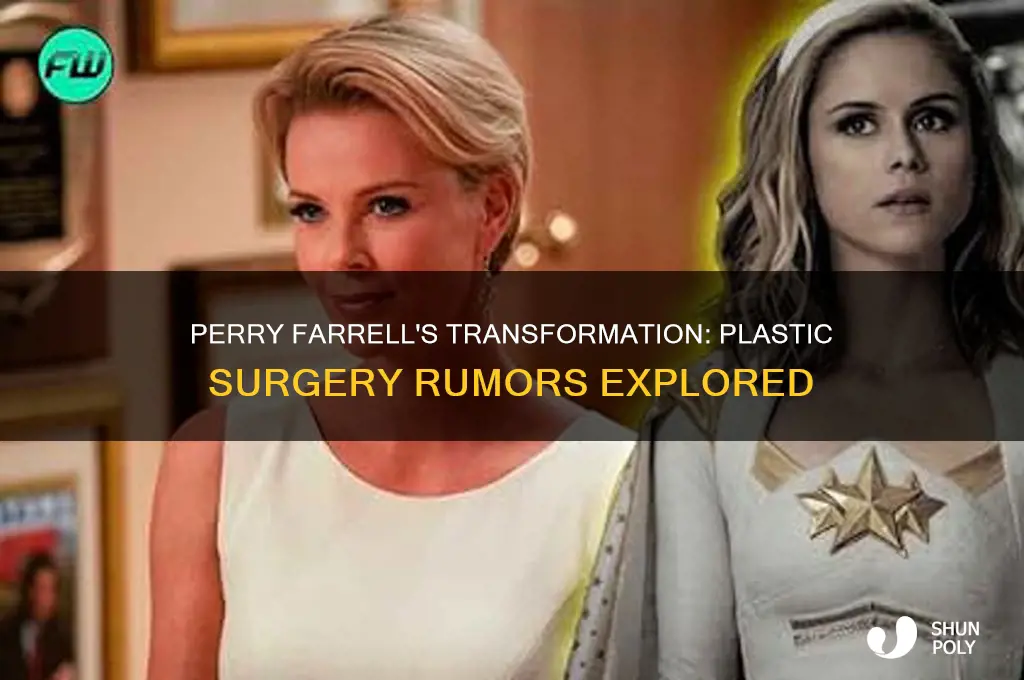 did perry farrell get plastic surgery