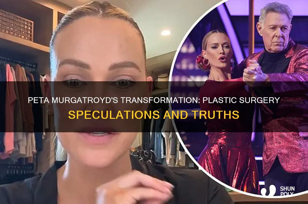 Peta Murgatroyd's Transformation Plastic Surgery Speculations And
