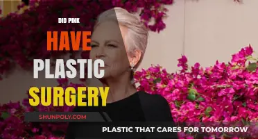 Pink's Transformation: Unveiling the Truth About Plastic Surgery Rumors