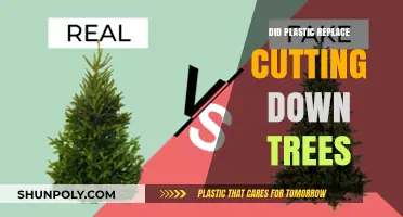 Plastic's Rise: Did It Save Trees or Create New Problems?