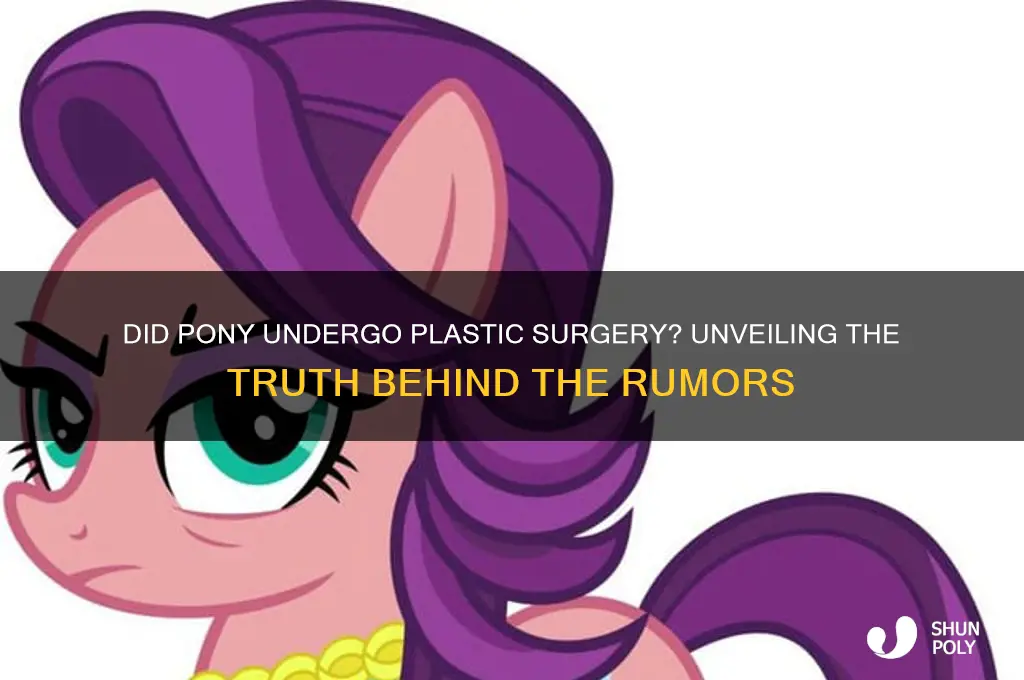 did pony do plastic surgery