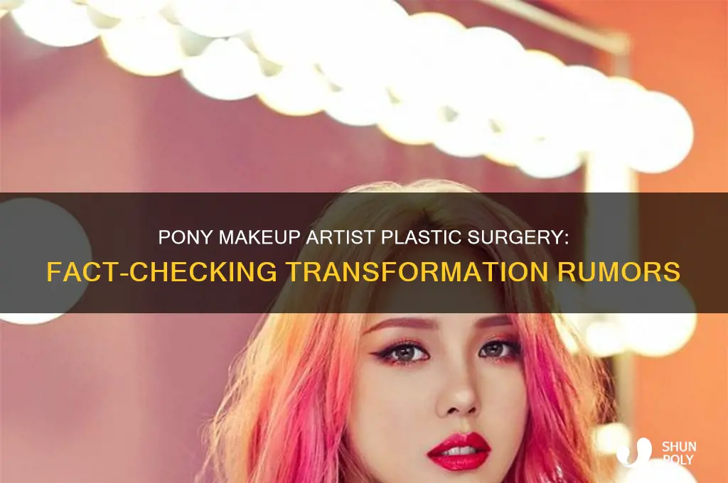 did pony makeup artist have plastic surgery