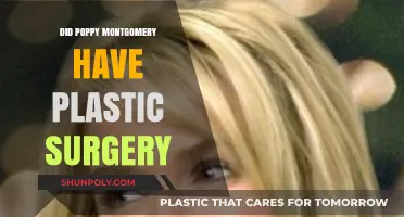 Poppy Montgomery's Transformation: Plastic Surgery Speculations and Truths Revealed