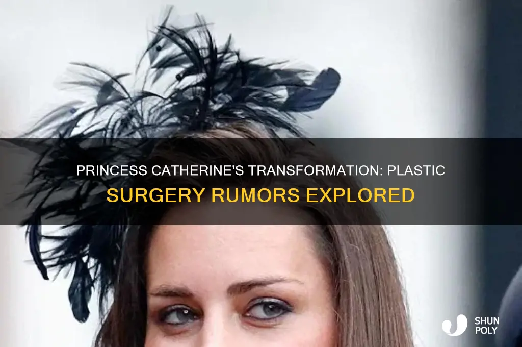 did princess catherine have plastic surgery