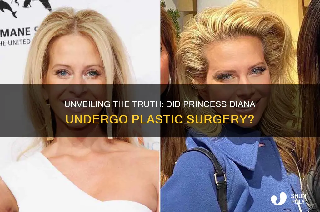did princess diana ever have plastic surgery