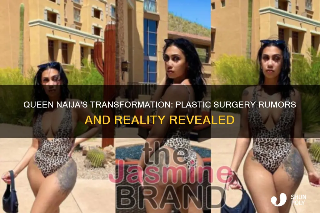 did queen naija get plastic surgery