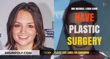 Rachael Leigh Cook's Transformation: Plastic Surgery Rumors Explored