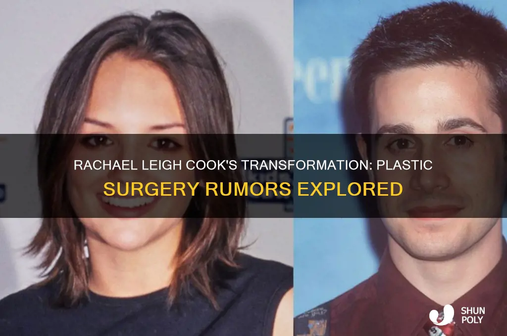 did rachael leigh cook have plastic surgery