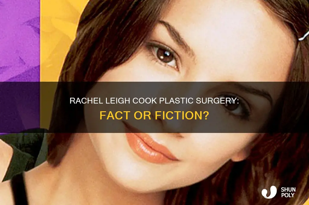 did rachel leigh cook get plastic surgery