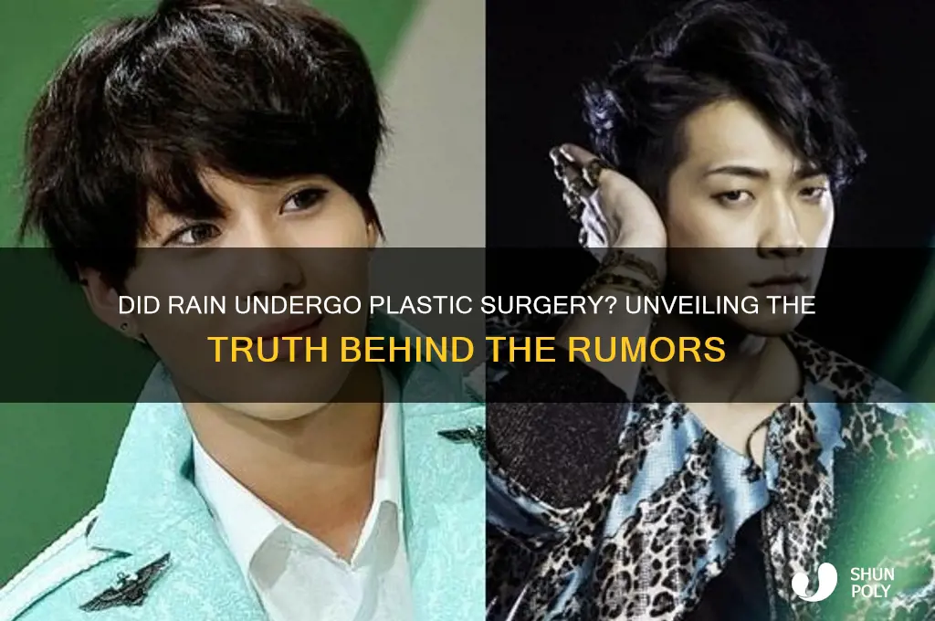 did rain have plastic surgery