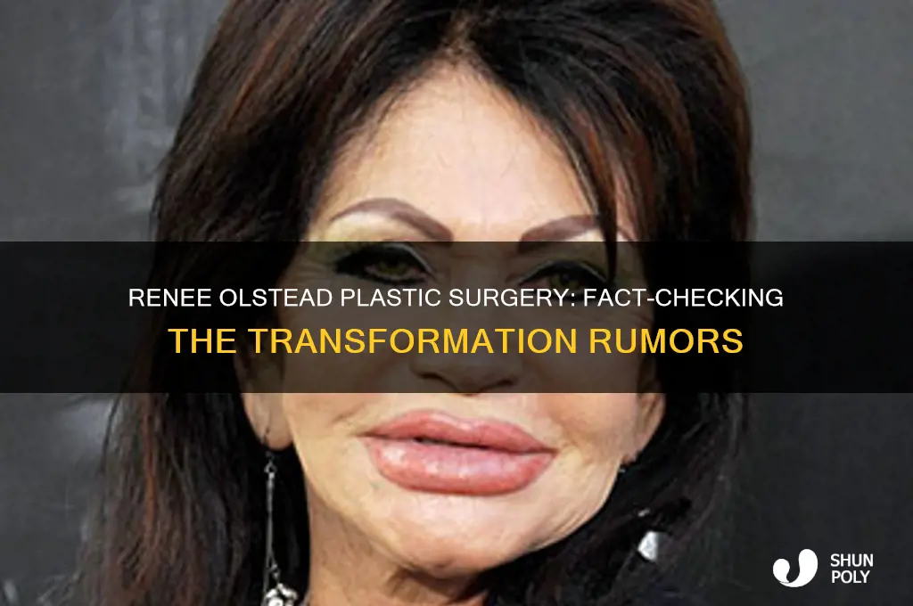 did renee olstead get plastic surgery