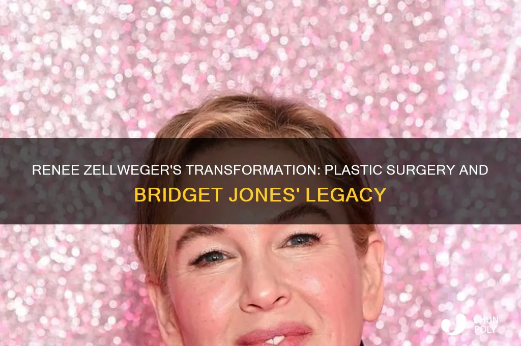 did renee zellweger plastic surgery bridget jones