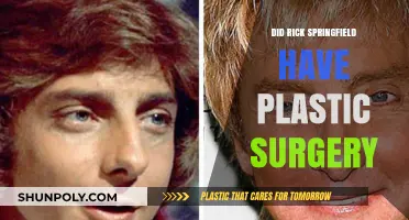 Rick Springfield's Transformation: Plastic Surgery Rumors Explored
