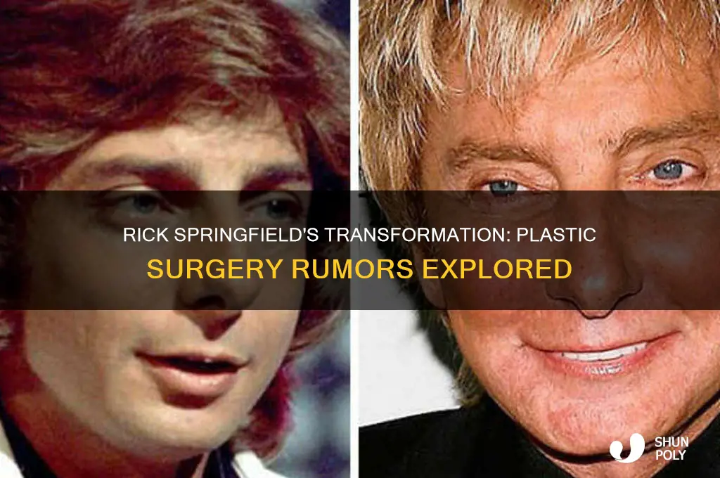 did rick springfield have plastic surgery