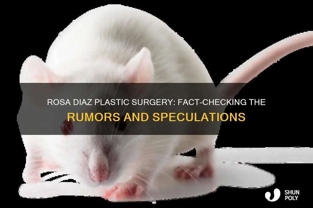 did rosa diaz get plastic surgery