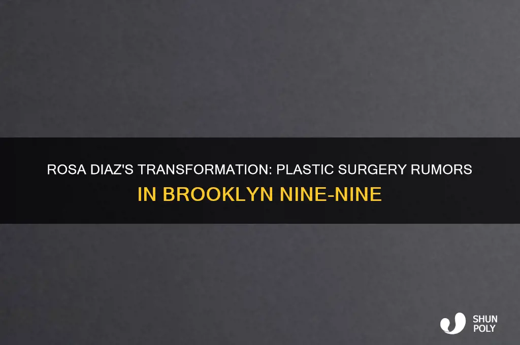 did rosa from brooklyn 99 get plastic surgery