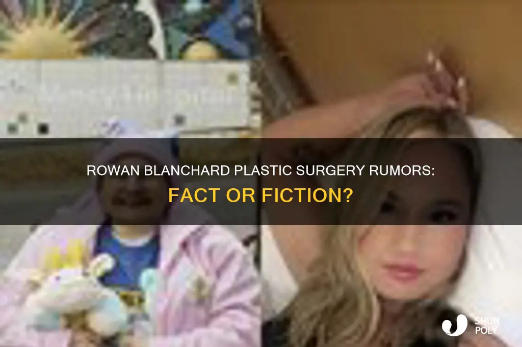 did rowan blanchard get plastic surgery
