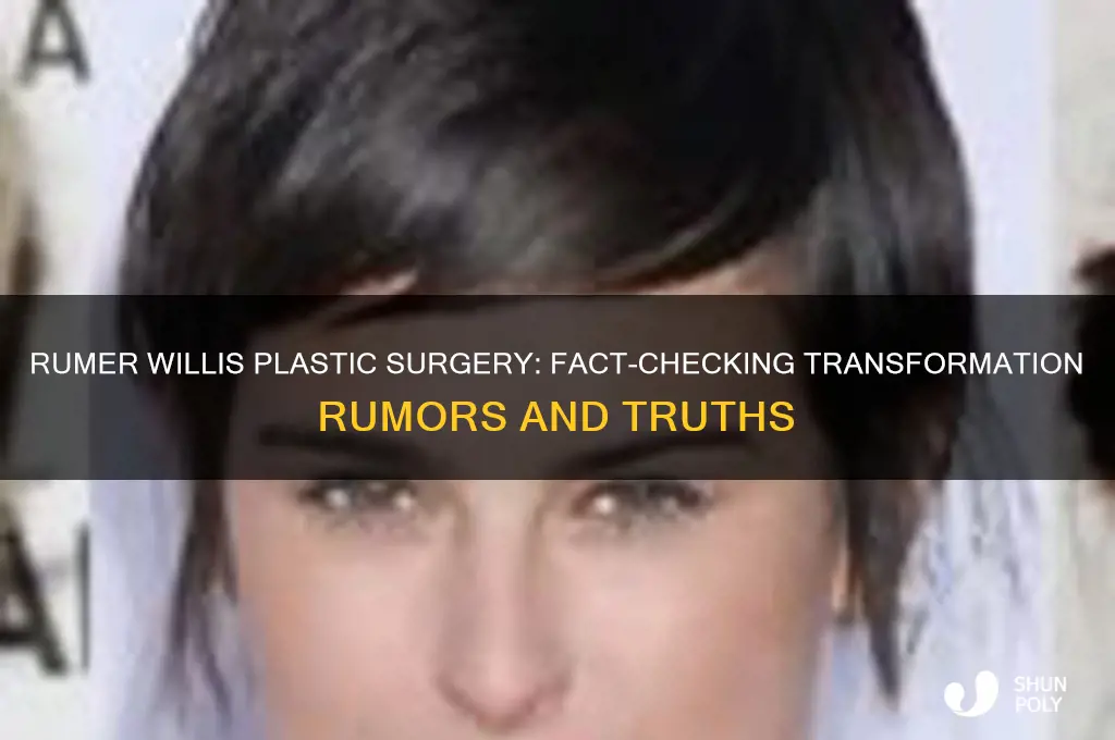 did rumer willis have plastic surgery