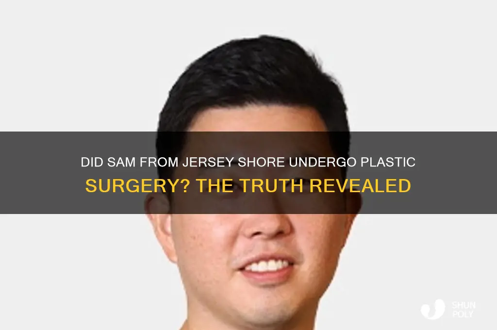 did sam from jersey shore get plastic surgery