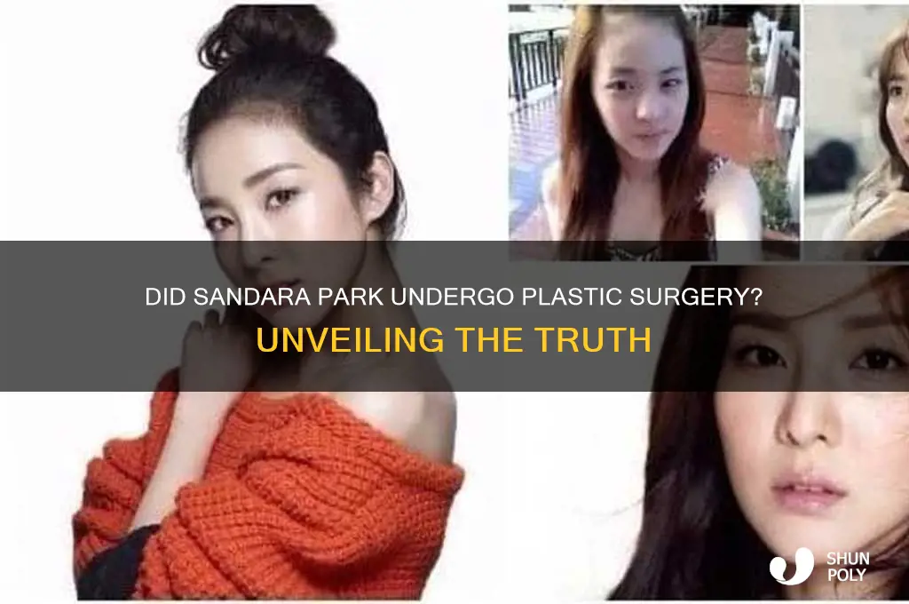 did sandara have plastic surgery