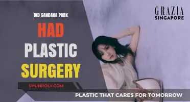 Sandara Park's Transformation: Plastic Surgery Rumors Explored and Debunked