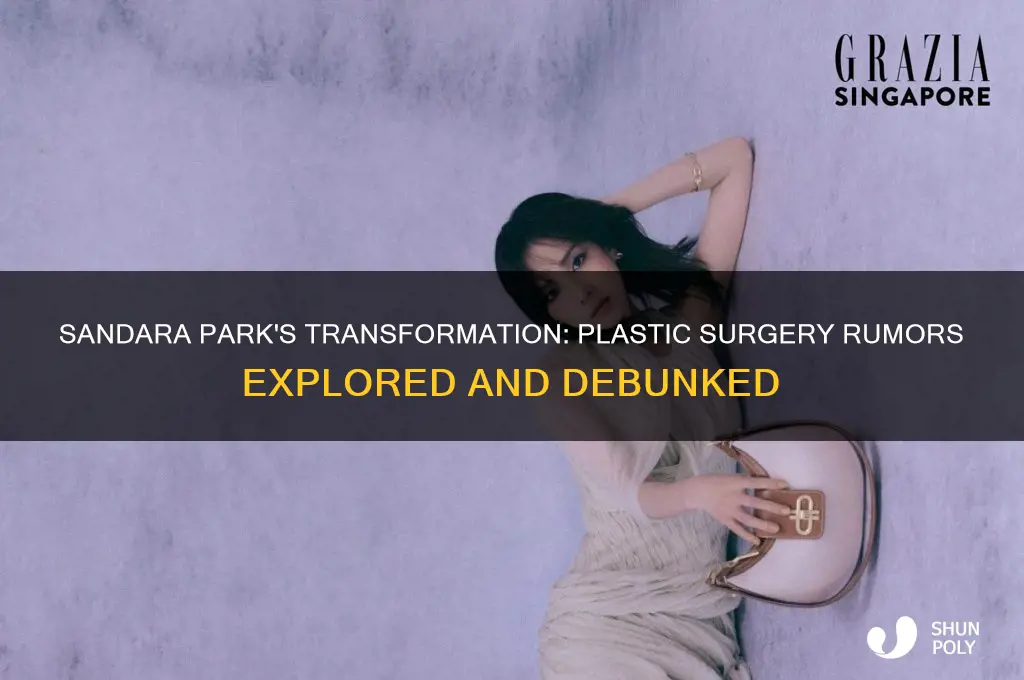 did sandara park had plastic surgery