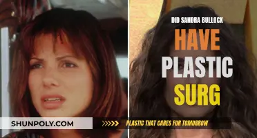 Sandra Bullock's Plastic Surgery: Fact or Fiction?