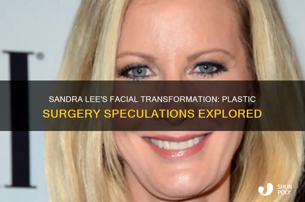 did sandra lee have plastic surgery on her face