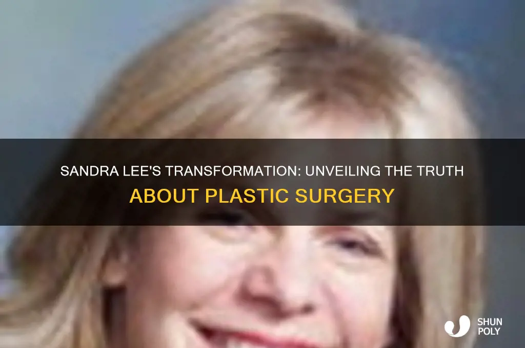 did sandra lee have plastic surgery