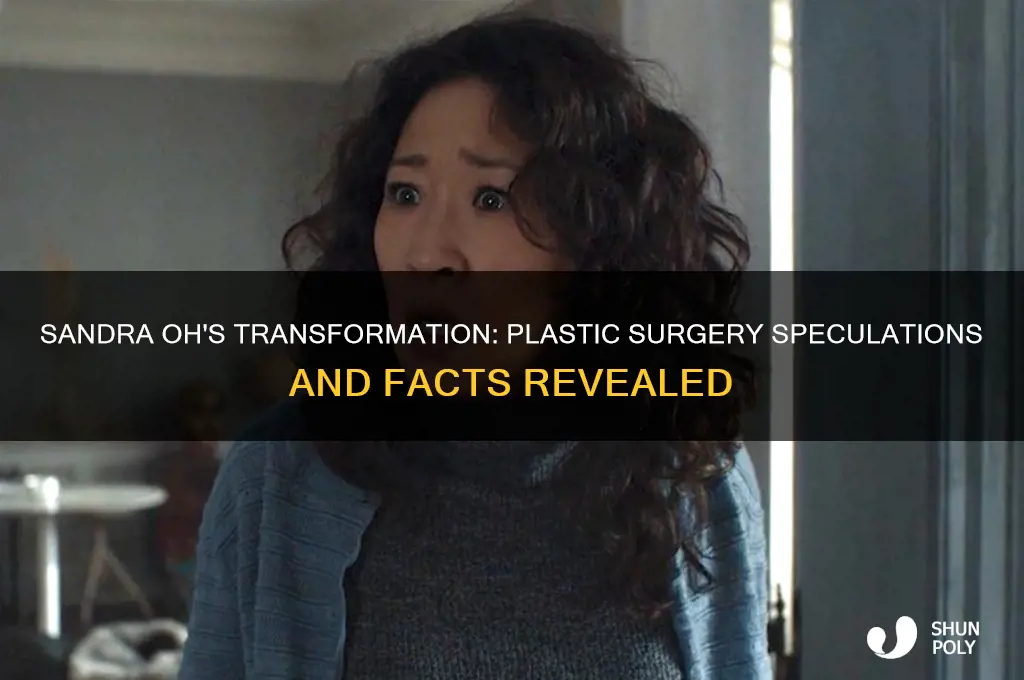 did sandra oh have plastic surgery
