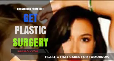 Santana's Transformation: Plastic Surgery Rumors in Glee Explored