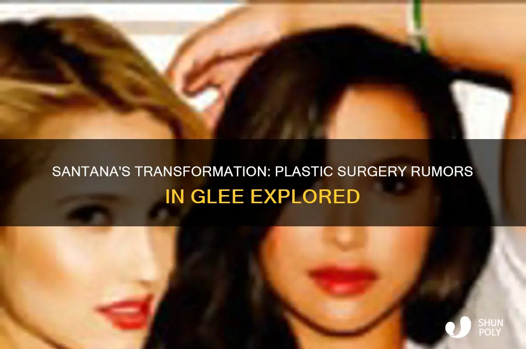 did santana from glee get plastic surgery