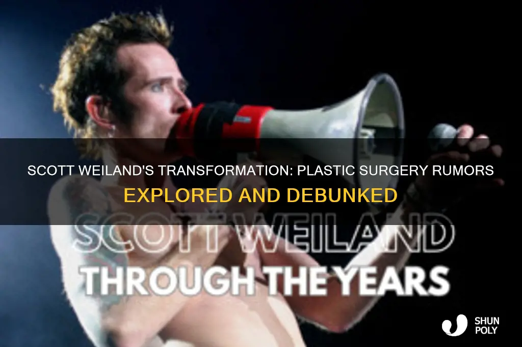 did scott weiland have plastic surgery