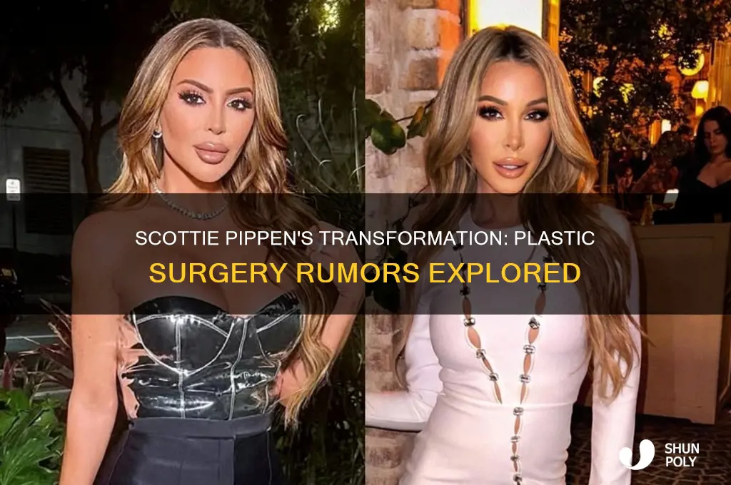 did scottie pippen get plastic surgery