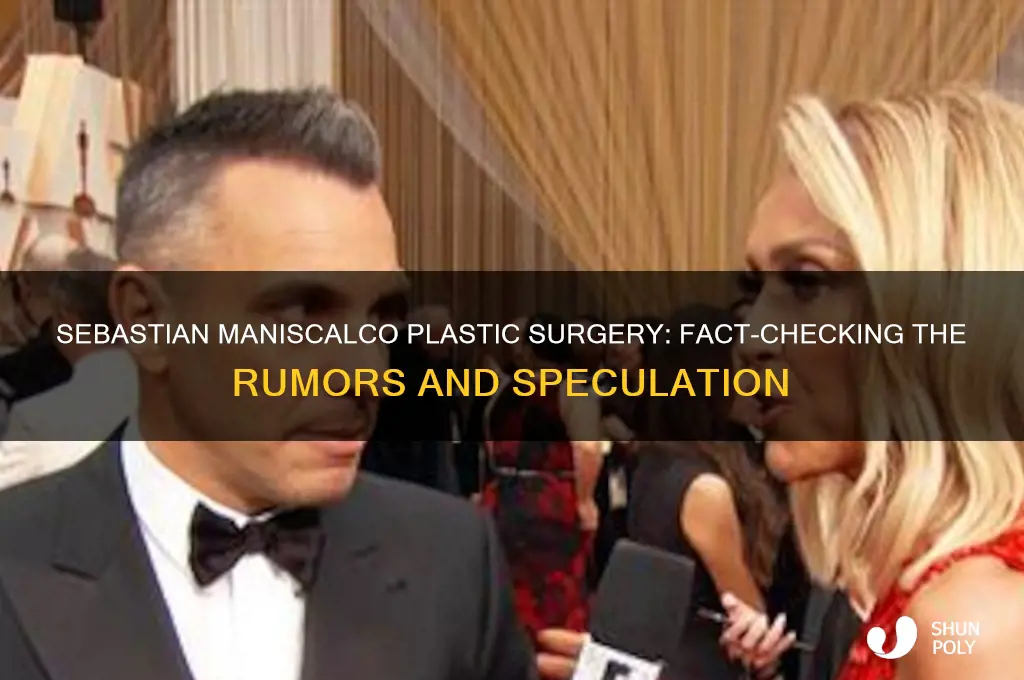did sebastian maniscalco have plastic surgery